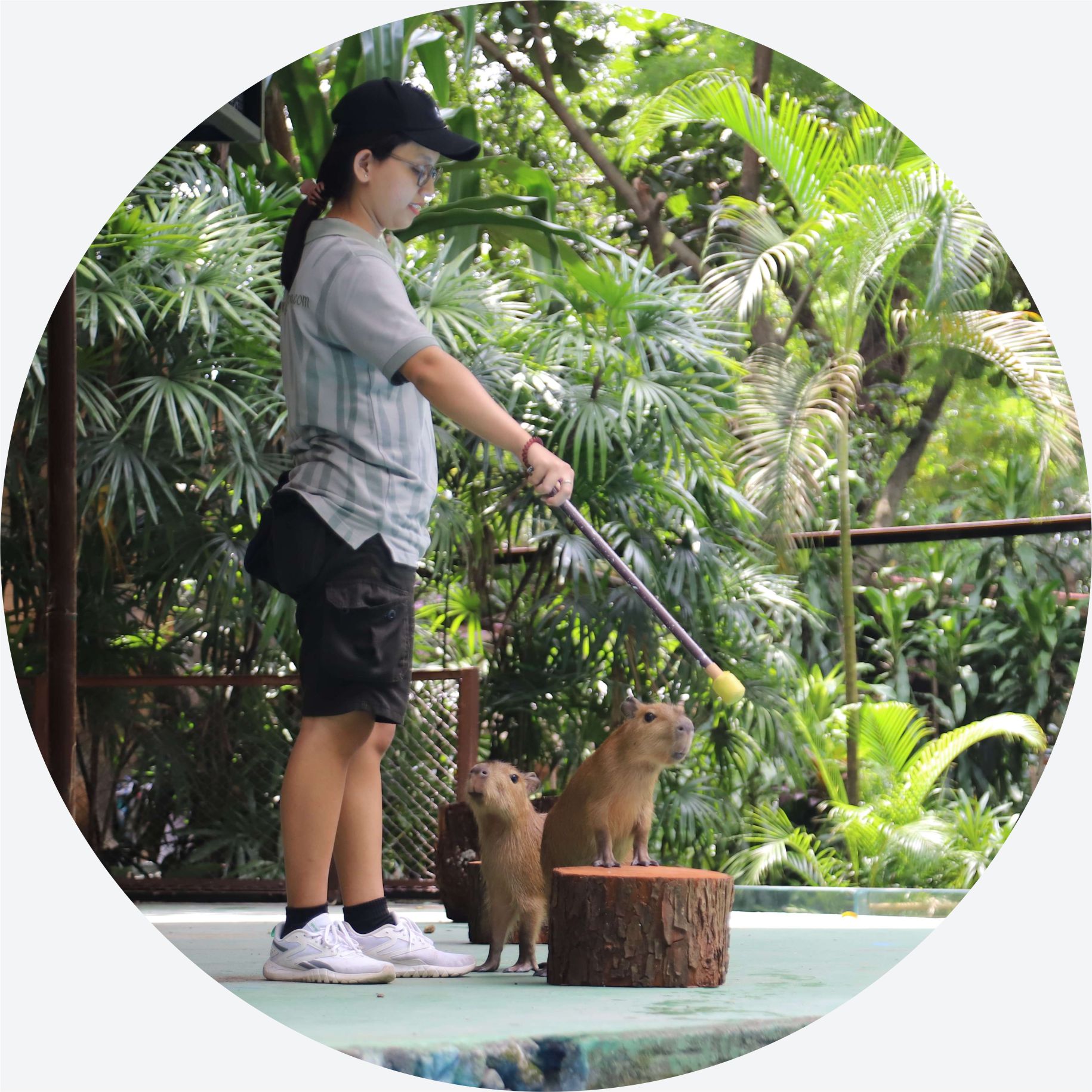 Presentasi & Edukasi Satwa Aves (PES Mamalia)