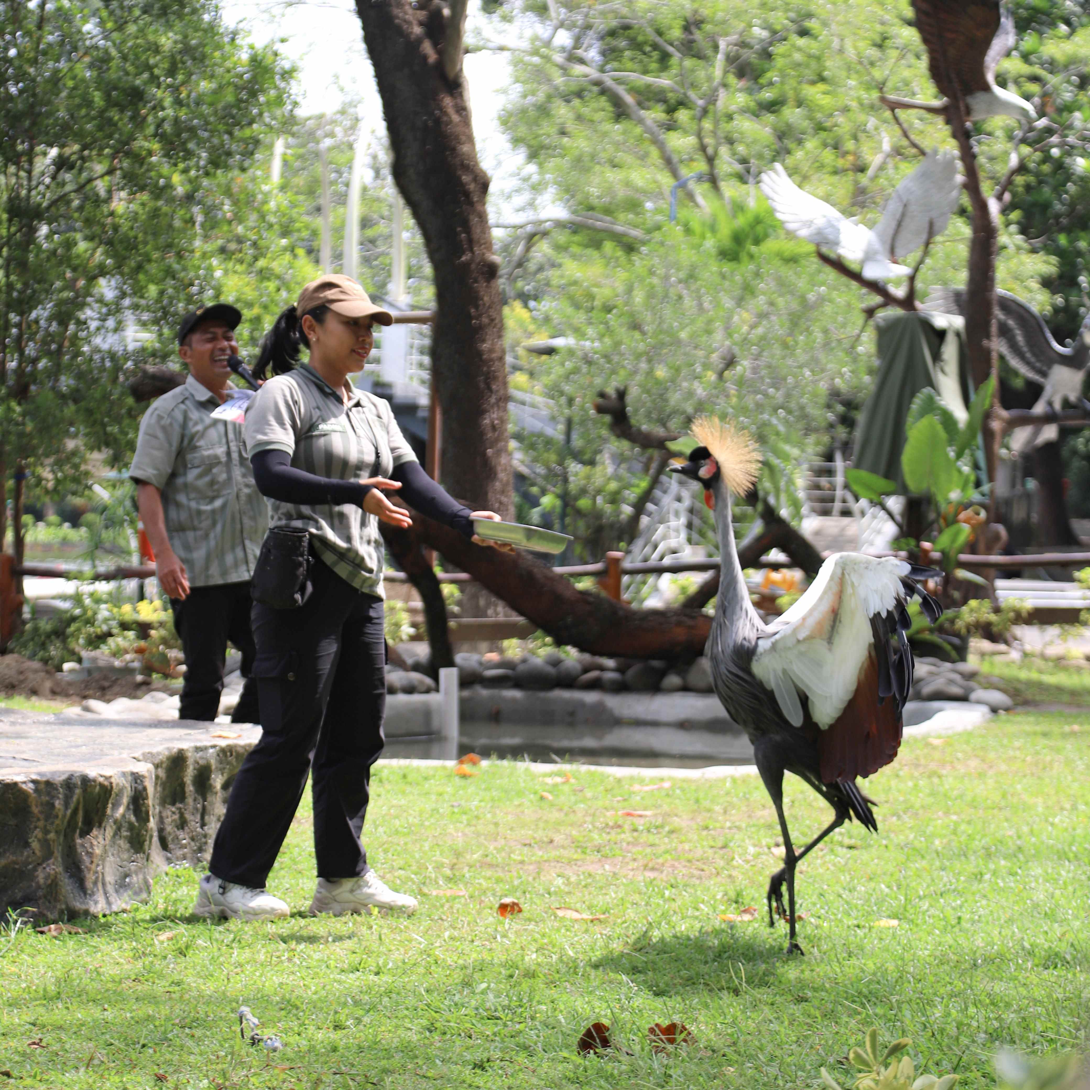 Presentasi & Edukasi Satwa Aves (PES Aves)